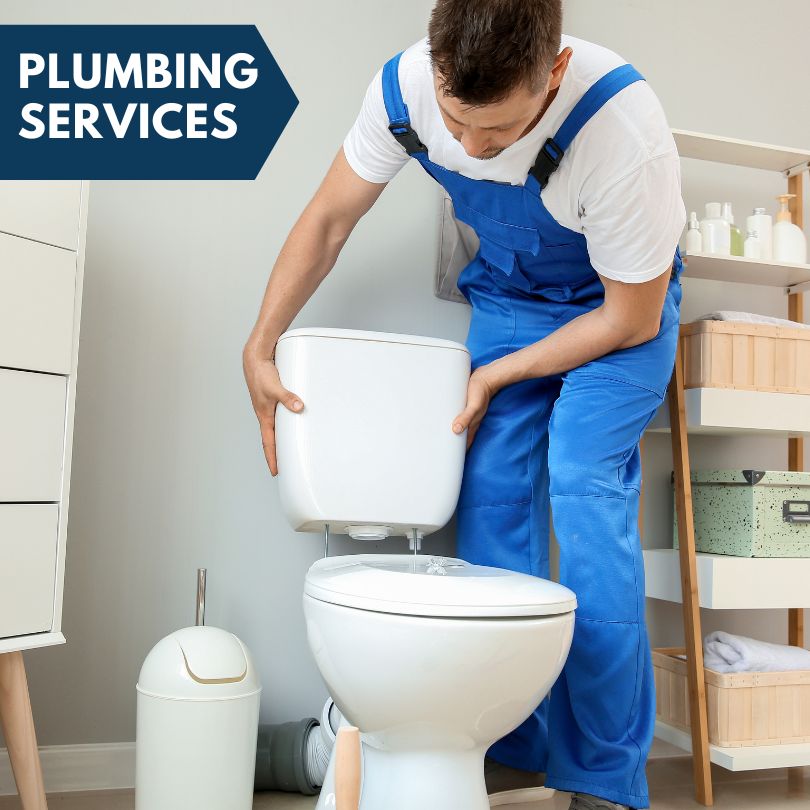 Plumbing Company in Tamaroa, IL